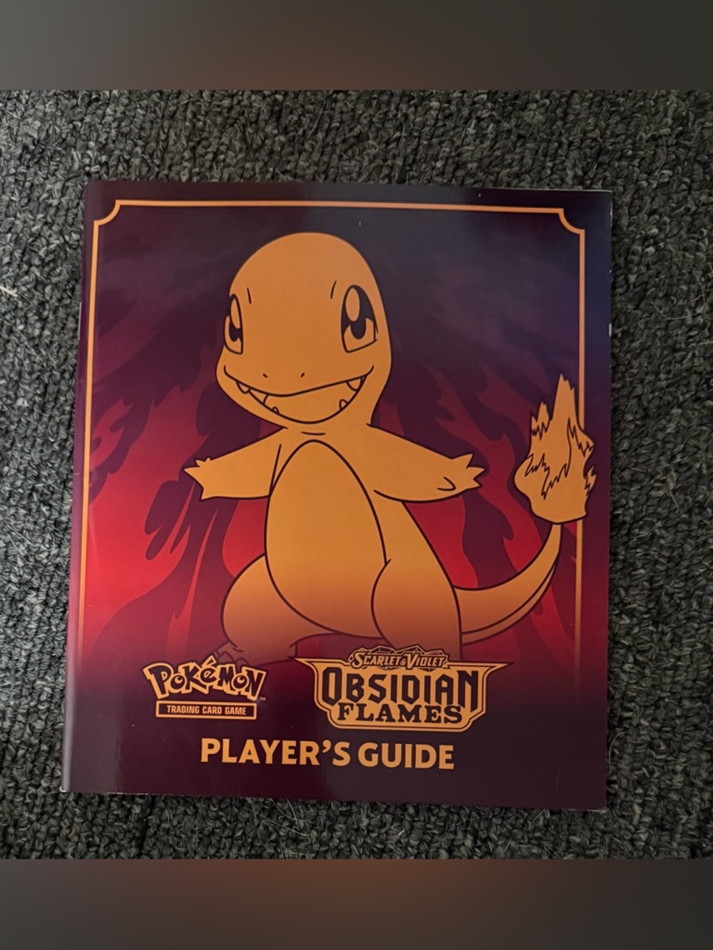 Pokémon Obsidian Flames Player's Guide - Orange Charmander Artwork
